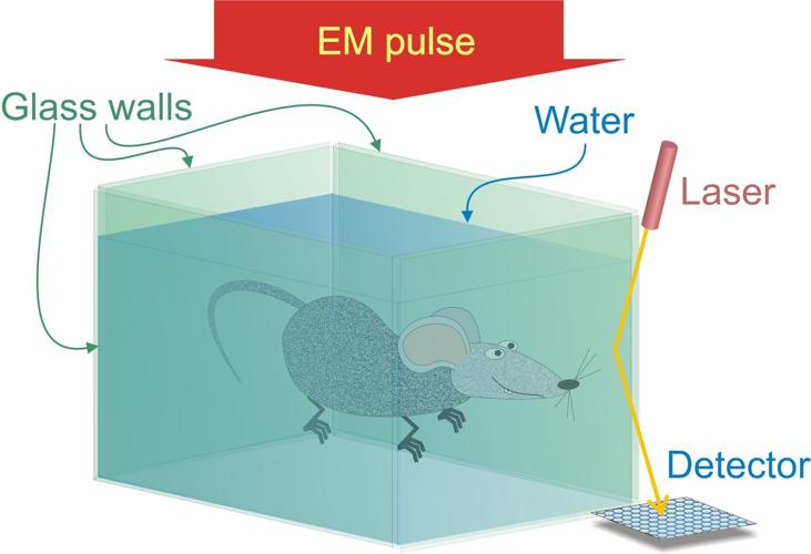 Opto-electronic system illustration