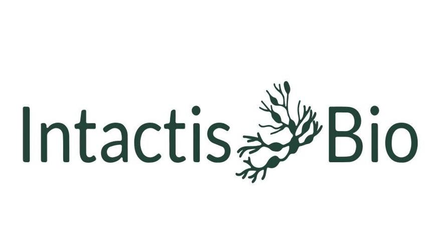 Play a Video Game Against a Dish of Living Neurons: Intactis Bio Launches "Biostack"
