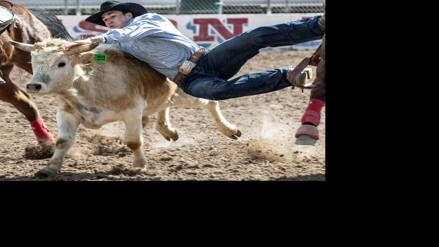 Photos 2019 La Fiesta de los Vaqueros Tucson Rodeo, Day 4 timed events Local news