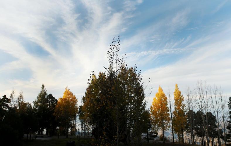 Fall colors on Mount Lemmon