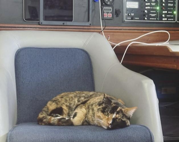 Sailing With Phoenix