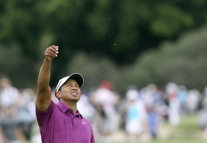 2011: Tiger Woods