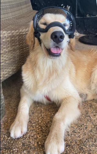 Sammy
