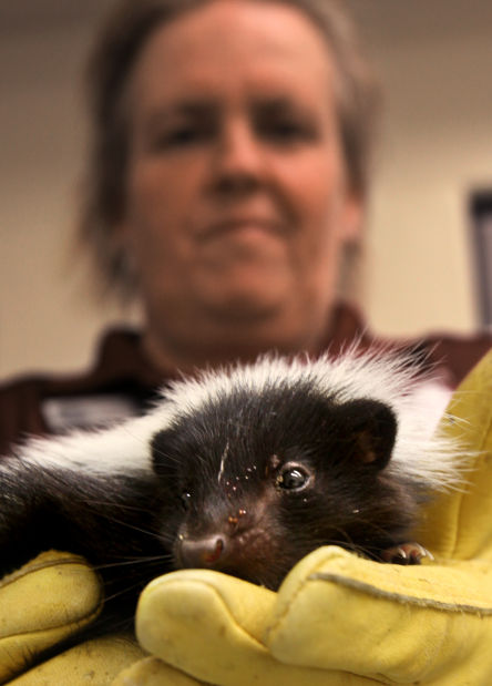 Tucson Wildlife Center