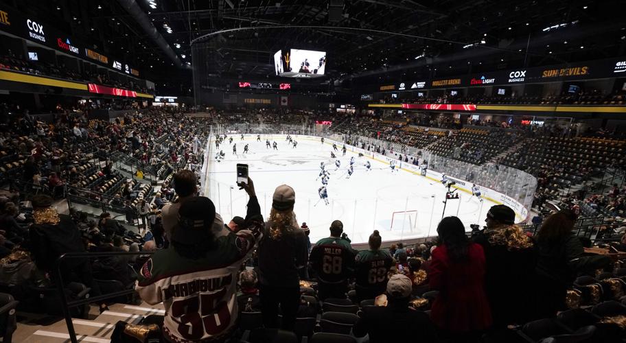 If NHL Coyotes leave AZ, how about AHL's Tucson Roadrunners?