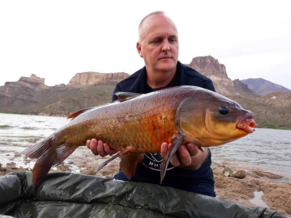 Three species of century-old fish found in Apache Lake