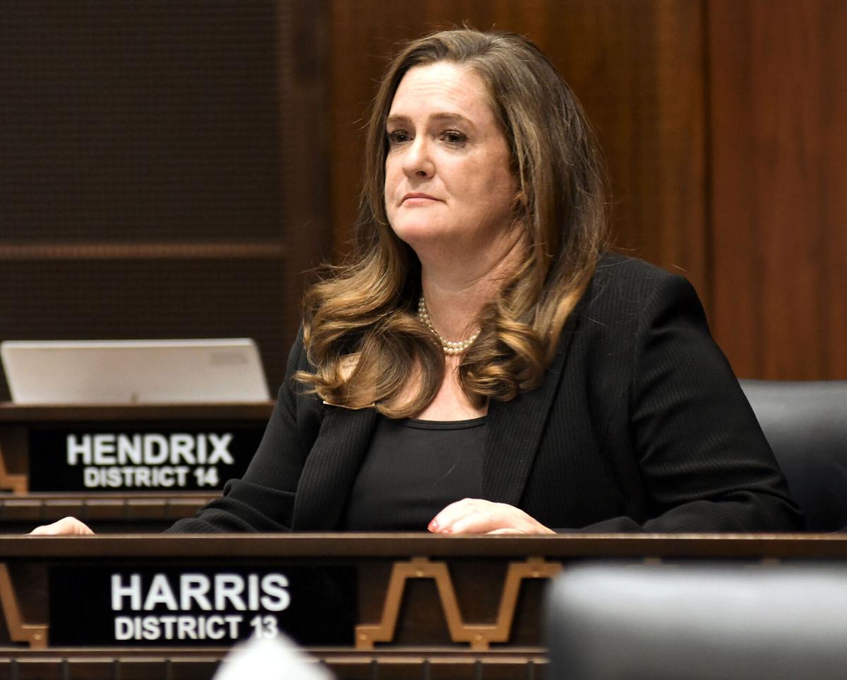 Ethics panel says Arizona lawmaker invited false testimony, lied