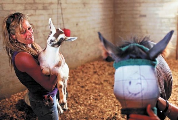 With HEART, horses get a new start  