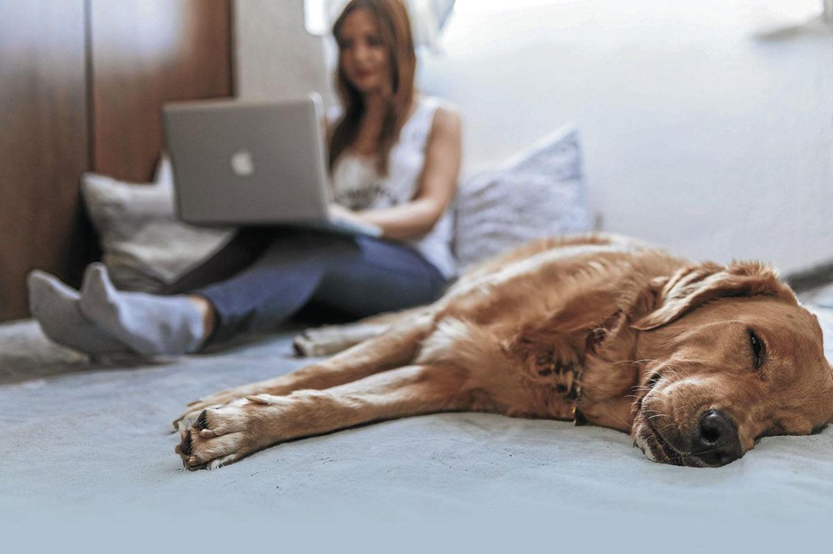 Working from home