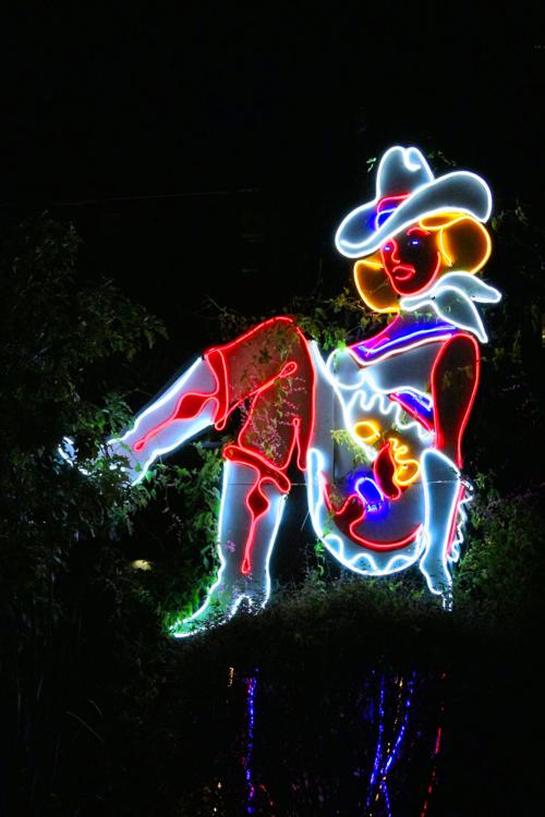Neon Cowgirl Contributed