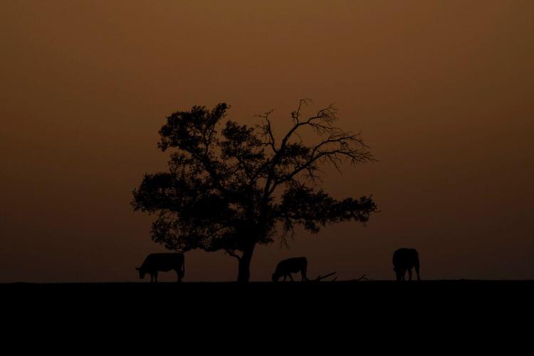 Climate Warmer Winter Crops