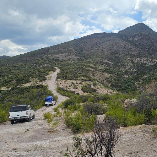 Our First Time Spring Seeking in Sierra San Diego