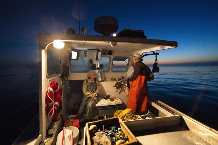 Centenarian Lobsterwoman