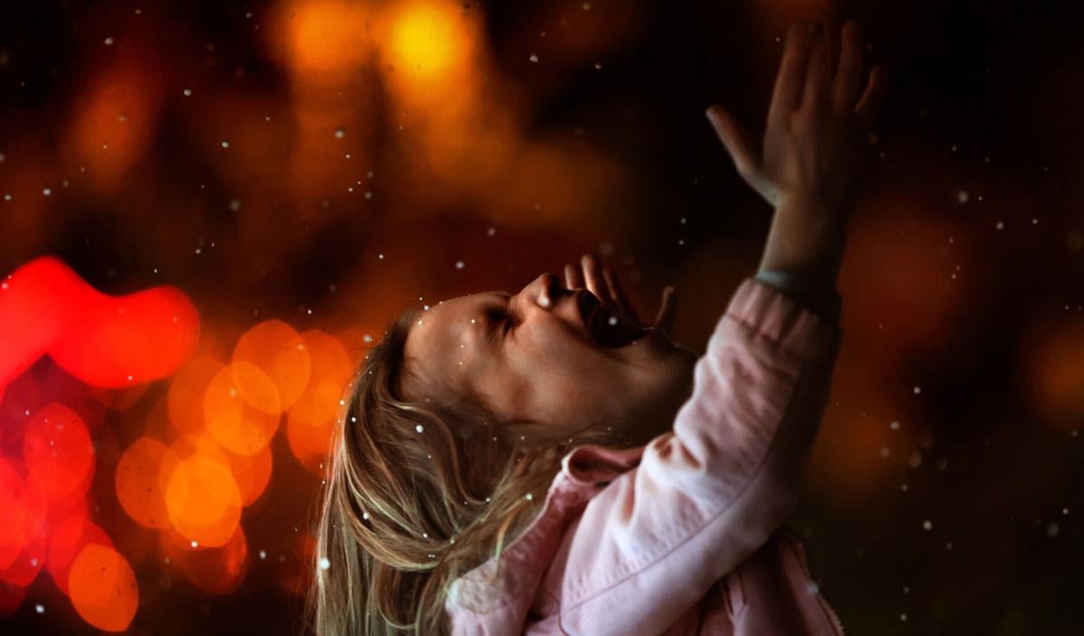 Magical ZooLights (copy)