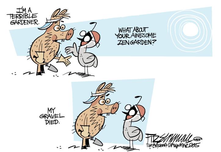 Last Laugh: Zen Gardening