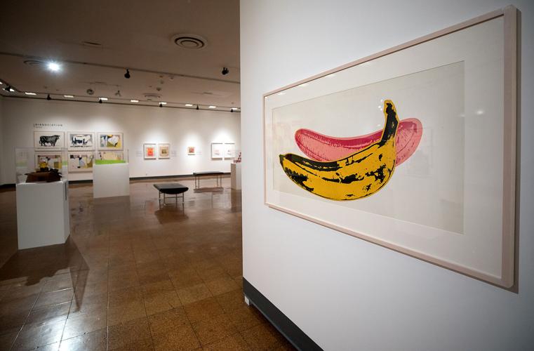 University of Arizona Museum of Art