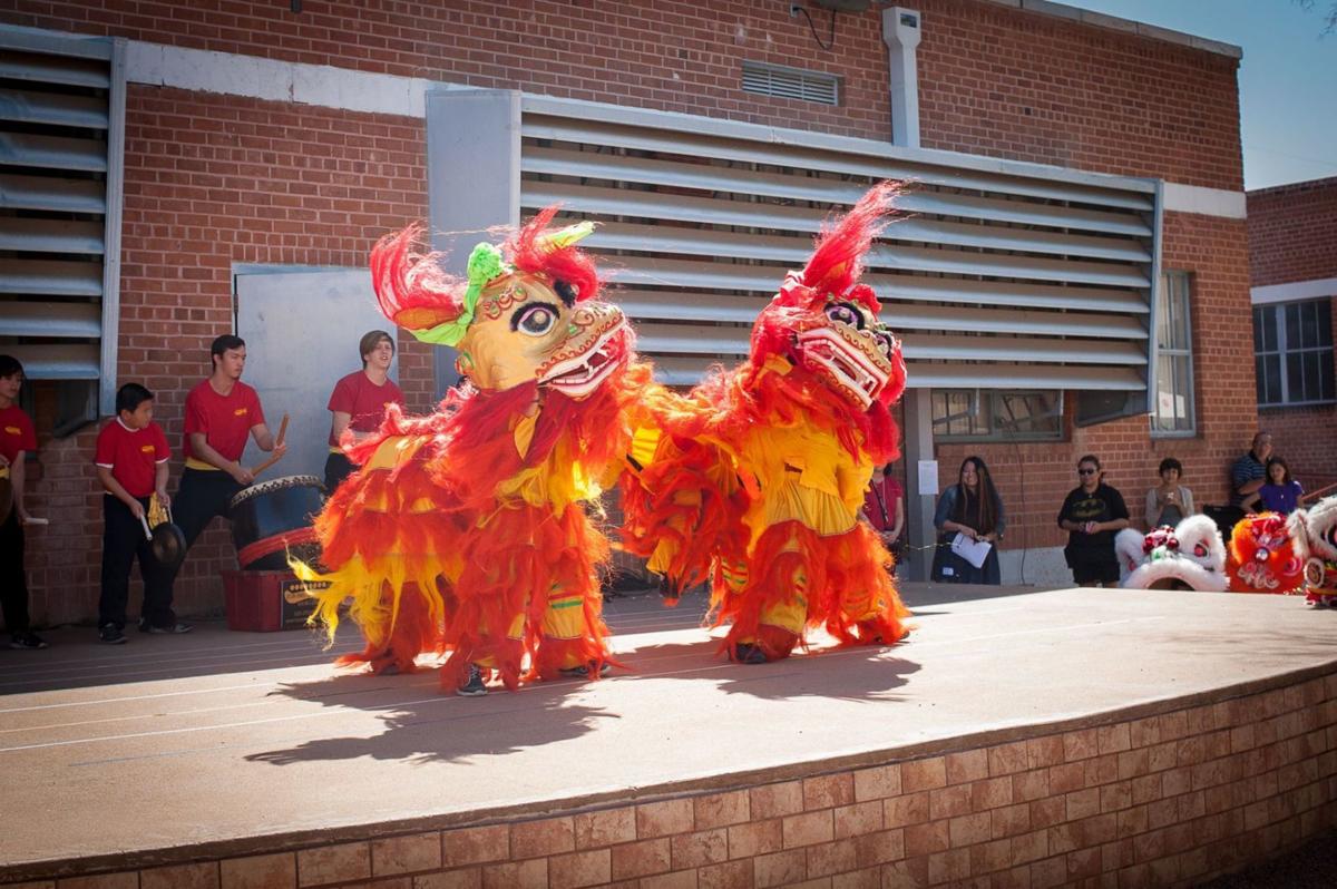 Annual International Day Festival — International School of Tucson