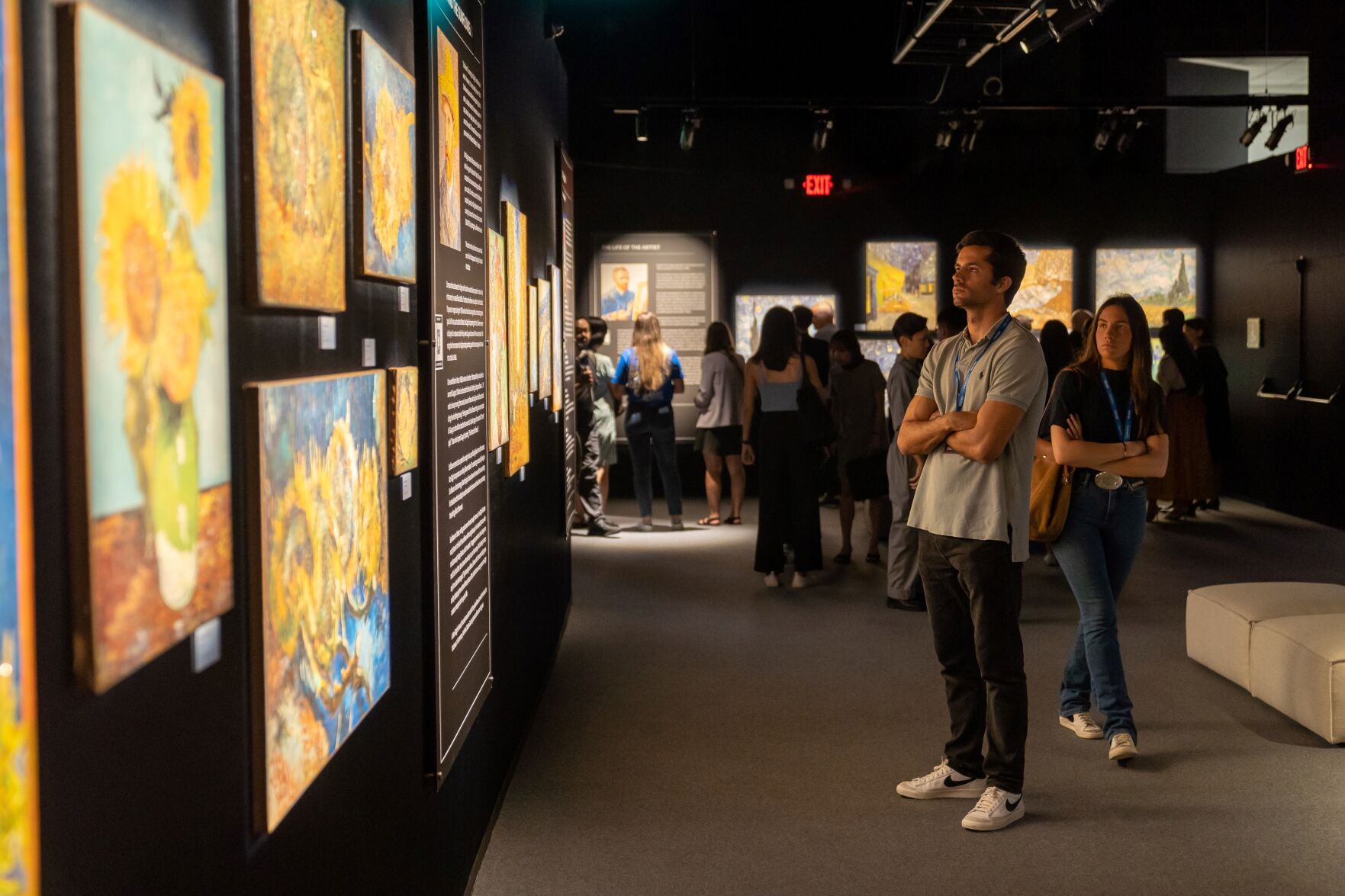Tucson to get acclaimed immersive Van Gogh exhibit image photo