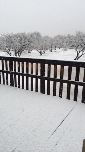 Star reader snow photos