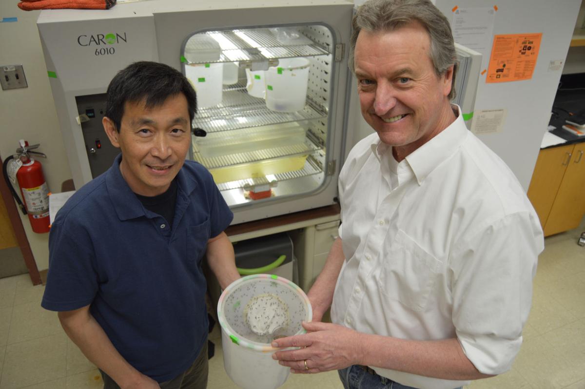 Jun Isoe and Roger Miesfeld