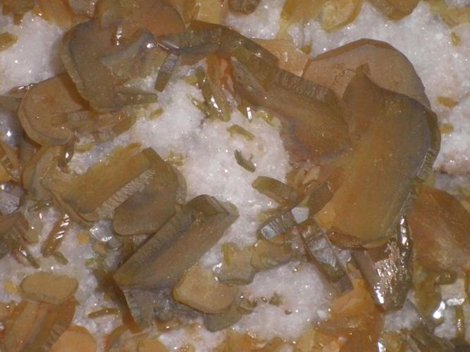 Mine Tales: Wulfenite