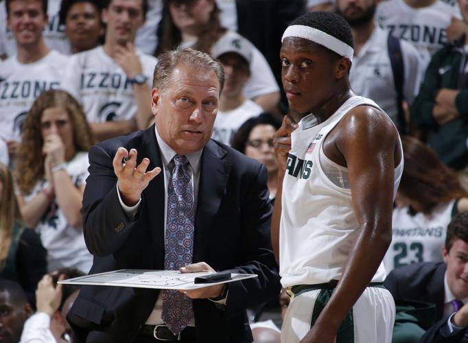 Michigan State overview