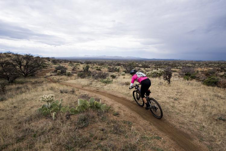 24 Hours in the Old Pueblo