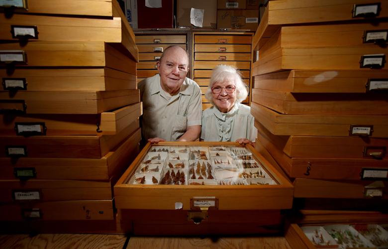 Entomologists Charlie and Lois O'Brien