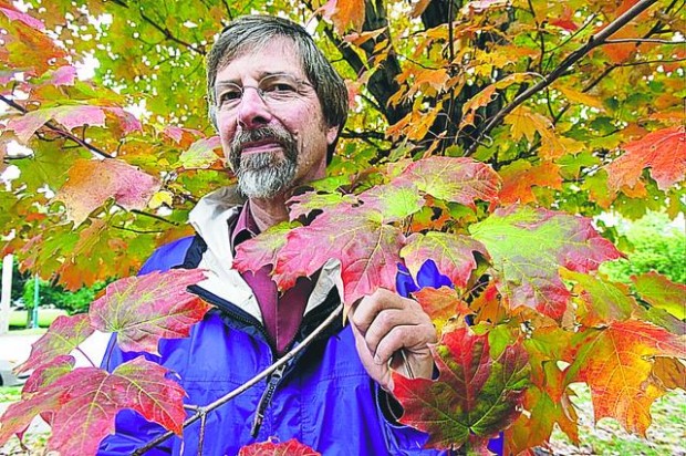 New England's autumn colors may be fading  