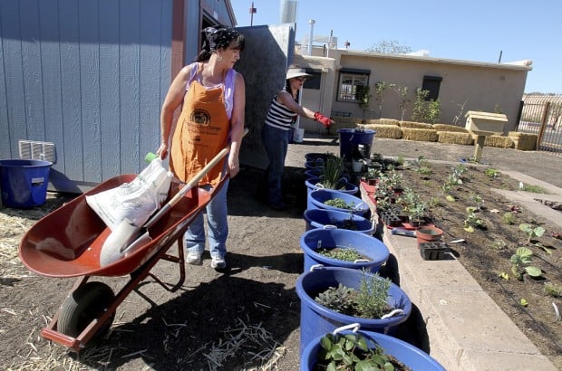 S. Tucson gets center teaching healthy eating, keeping slim    
