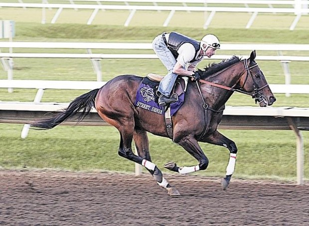 Street Sense 'the perfect horse'  