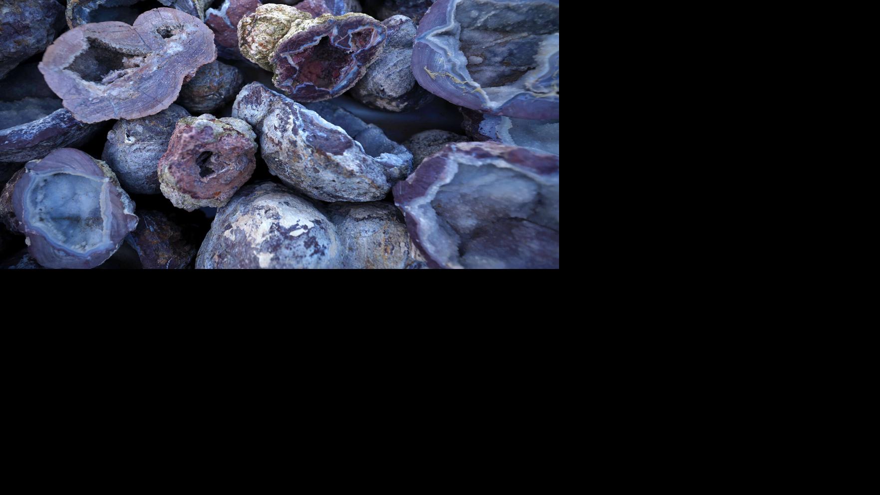 Check out these 23 exciting Tucson events, January 30 - February 1! ✨