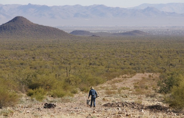 Ironwood Forest killers of saguaros strike again   