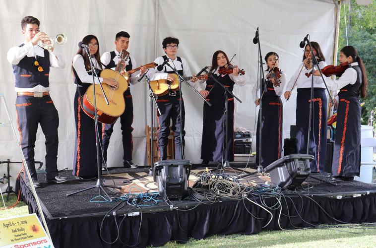 12 LE G SOCIALES P13