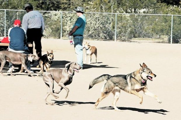 Dog-friendly trails are limited  