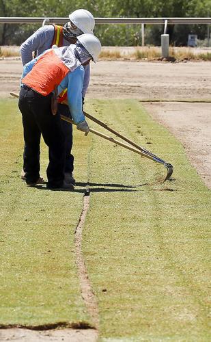 Soccer Fields Construction