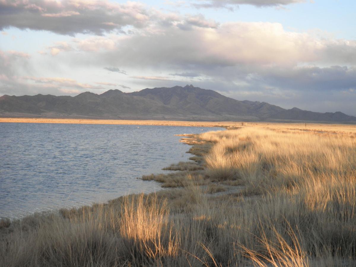 Mine Tales Dos Cabezas Mountains near Willcox have history of gold