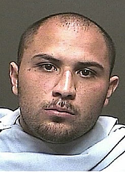 Baby found in shallow grave had CPS file    