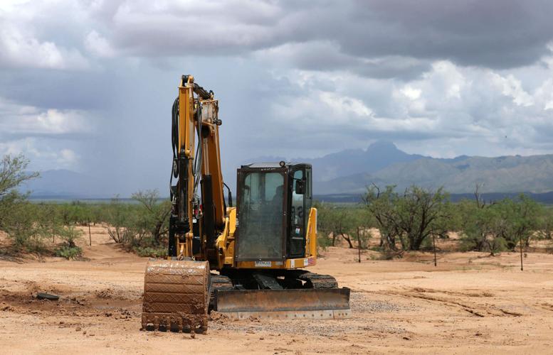 Saguaros marked for removal on Tohono O'odham Nation as tribe fights wall