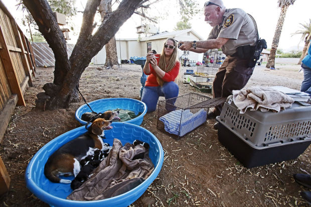 Assorted pets rescued from house fire