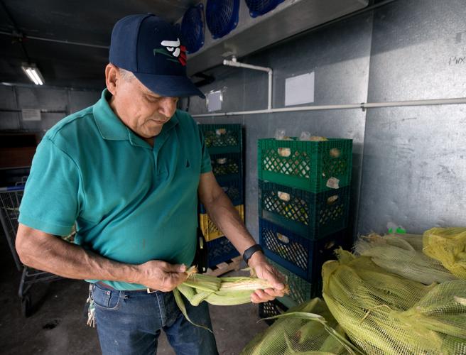 Alejandro's Tortilla Shop