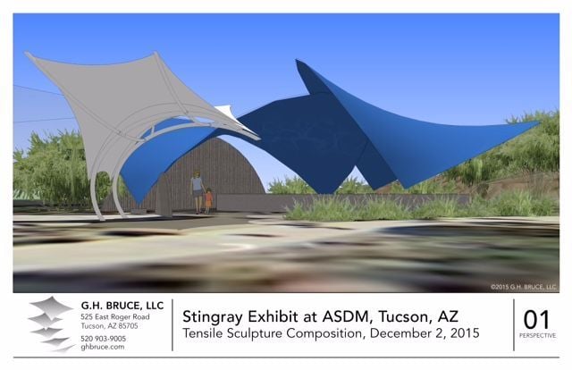 Stingrays coming to Desert Museum