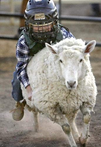 In Marana, rodeo isn't just once a year; it's all-year   