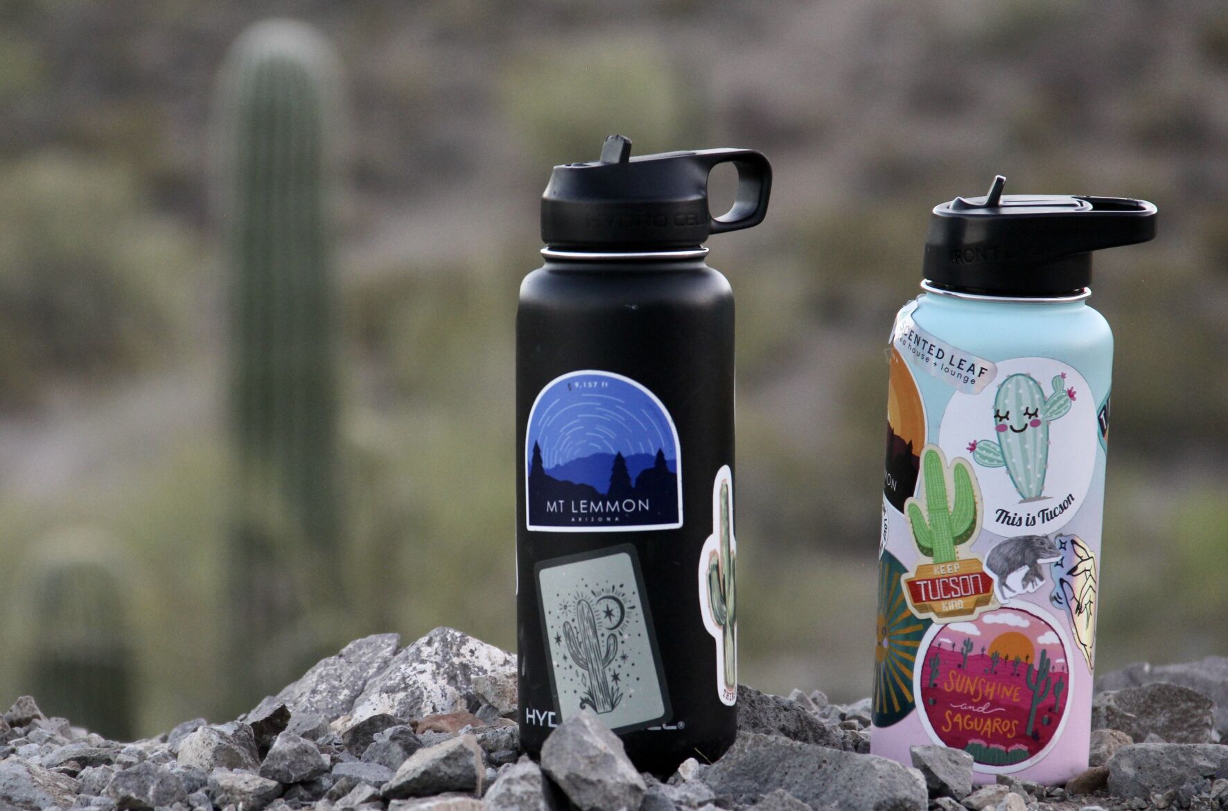 Hydro flask 2025 buy in tucson