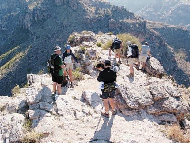 Blackett's Ridge Trail: Up the ridge with the sun  