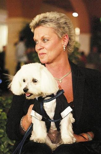 Dogs dress up for a cause  