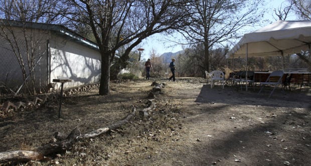 Paton's Birder Haven