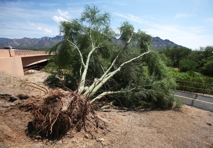 Monsoon 2015 damage