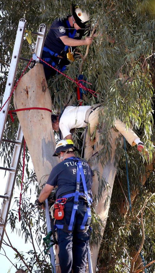 Tree rescue