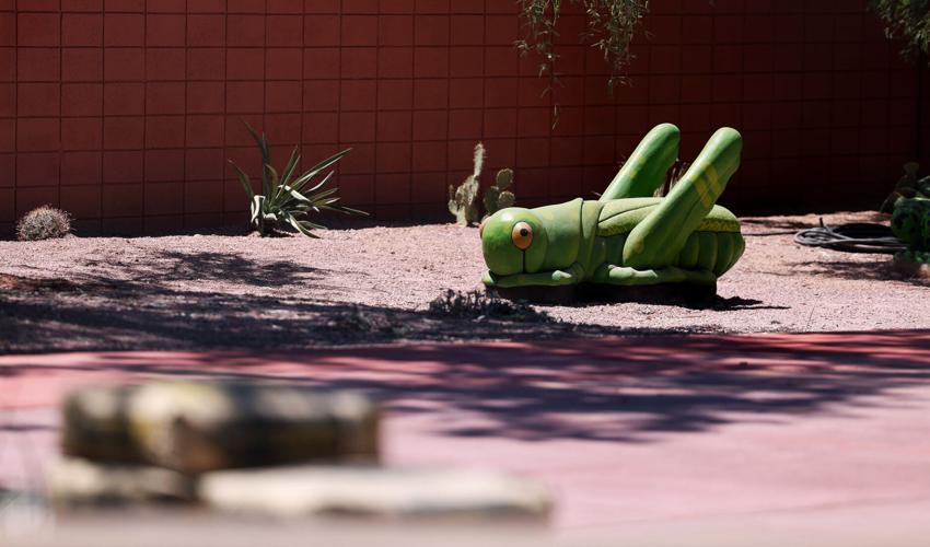 Tucson park upgrades